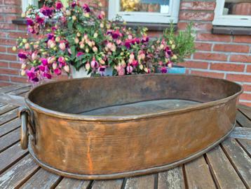 Prachtige grote antieke koperen plantenbak jardiniere  beschikbaar voor biedingen