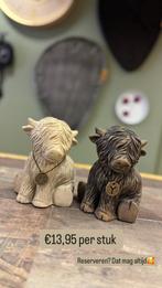 Brynxz Scotty te koop! Schotse hooglanders, Ophalen of Verzenden, Nieuw