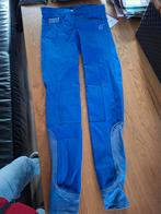 Qhp rijbroek jodi maat 34, Dieren en Toebehoren, Ophalen of Verzenden, Nieuw, Dressuur, Onderkleding
