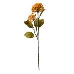 CLAYRE & EEF KUNST BESSEN TAK, Ophalen of Verzenden, Nieuw