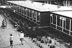 964619	Oostkapelle	Zeeland	1972 Bos en Duin	Gelopen met post, Verzamelen, Ansichtkaarten | Nederland, Verzenden, 1960 tot 1980