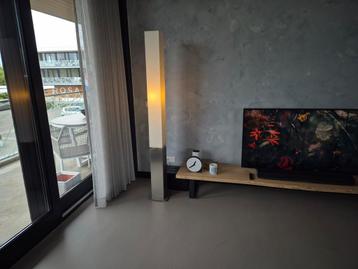 Stijlvolle Vloerlamp  - 183cm beschikbaar voor biedingen