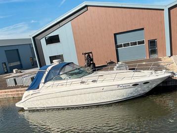 Searay 380 Sundancer | Speedcruiser | zeer compleer | 2004 beschikbaar voor biedingen
