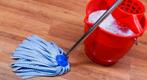 Gratis schoonmaak voor mensen die het moeilijk hebben, Overige niveaus, Starter, Overige vormen