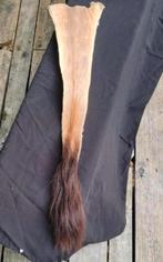 Staart van een Sabelantilope - Taxidermy sabel antilope, Verzamelen, Ophalen of Verzenden, Zo goed als nieuw, Overige typen