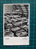 ansichtkaart a214) Aalsmeer Bloemenveiling gebouw., Ophalen of Verzenden, 1960 tot 1980, Ongelopen, Noord-Holland