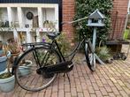 Batavus old dutch damesfiets, 56 cm of meer, Ophalen, Gebruikt, Batavus.