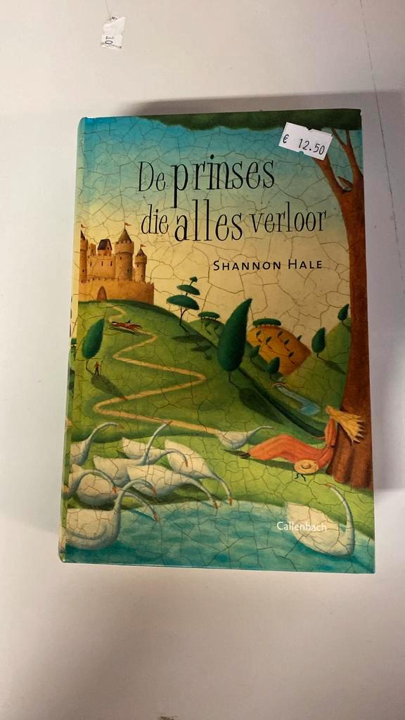S. Hale - De prinses die alles verloor, Boeken, Kinderboeken | Jeugd | 10 tot 12 jaar, Zo goed als nieuw, Verzenden