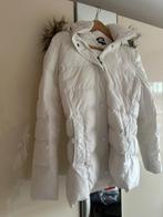 Tommy Hilfiger jas, Ophalen, Wit, Zo goed als nieuw, Maat 36 (S)