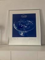 2 keer zeefdruk Rob scholte, Antiek en Kunst, Kunst | Litho's en Zeefdrukken, Ophalen