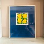 Ad van Hasselt litho tulpen, Antiek en Kunst, Kunst | Litho's en Zeefdrukken, Verzenden