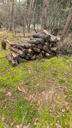 Haardhout kachelhout, Tuin en Terras, 6 m³ of meer, Ophalen, Overige houtsoorten, Stammen