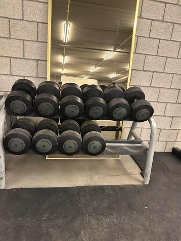 Technogym dumbell set 40kg tot 48kg beschikbaar voor biedingen