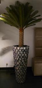 NIEUW UNIEK GROTE SCHELPENVAAS & KUNST PALMBOOM ERIC KUSTER, Huis en Inrichting, Woonaccessoires | Vazen, Ophalen, Nieuw, Overige kleuren