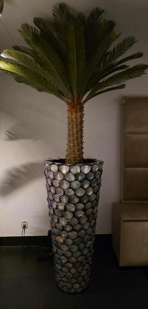 NIEUW UNIEK GROTE SCHELPENVAAS & KUNST PALMBOOM ERIC KUSTER, Huis en Inrichting, Woonaccessoires | Vazen, Nieuw, Overige kleuren