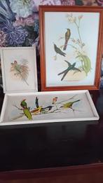 Vintage brocante vogelprenten in lijst, Ophalen