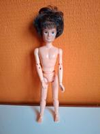 Vintage mannelijke Barbie, Verzamelen, Poppen, Ophalen of Verzenden, Gebruikt
