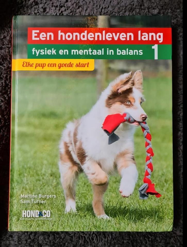 Een hondenleven lang; Elke pup een goede start, Boeken, Dieren en Huisdieren, Gelezen, Honden, Ophalen of Verzenden