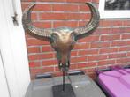 Kaapse buffelschedel, Antiek en Kunst, Kunst | Designobjecten, Ophalen of Verzenden