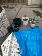 Diverse bloempotten en plantenbakken, Tuin en Terras, Bloempotten, Kunststof, Gebruikt, Rond, Binnen