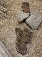 Jungle bush kwartels natuurbroed, Dieren en Toebehoren, Meerdere dieren