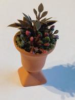 terra cotta pot op voet met planten hoogte 5 cm / miniatuur, Ophalen, Nieuw, Decoratie