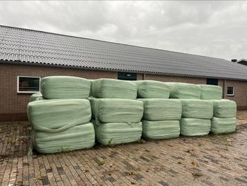 1e snede 2025 voordroog beschikbaar voor biedingen