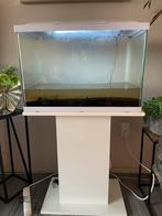 Superfish 60 liter, Zo goed als nieuw, Ophalen, Leeg aquarium