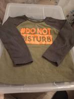 T-shirt maat 110, Kinderen en Baby's, Kinderkleding | Maat 110, Ophalen of Verzenden, Zo goed als nieuw, Jongen, Shirt of Longsleeve