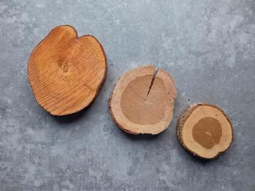 Boomstamschijven - Decoratie/DIY beschikbaar voor biedingen