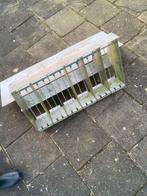 Duiven valklep spoetnik, Meerdere dieren, Postduif