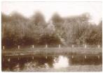 Foto - Ellewoutsdijk - Buitenplaats Zorgvliet, Verzamelen, Gebruikt, Foto, Ophalen of Verzenden, Voor 1940
