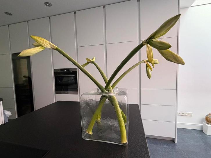 Glazen vaas - vierkant, Huis en Inrichting, Woonaccessoires | Vazen, Zo goed als nieuw, Overige kleuren, Minder dan 50 cm, Glas