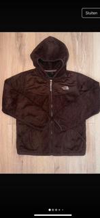 Mooie en warm The north face vest!, Ophalen of Verzenden, Zo goed als nieuw, Maat 38/40 (M), Bruin