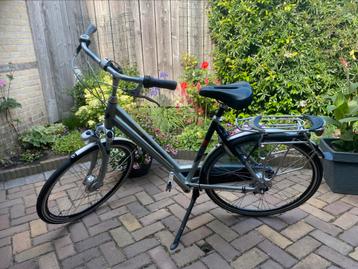 Gazelle Orange beschikbaar voor biedingen