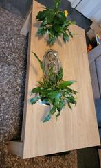 Licht eiken salontafel en eettafel set, Antiek en Kunst, Antiek | Meubels | Tafels, Ophalen of Verzenden