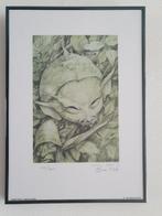 Brian Froud Art print gesigneerd en genummerd en ingelijst, Ophalen of Verzenden