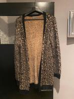 Geisha vest maat l 40, Kleding | Dames, Maat 38/40 (M), Ophalen of Verzenden, Zo goed als nieuw, Geisha