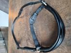 Lage neusriem Cob, Ophalen of Verzenden, Gebruikt, Dressuur