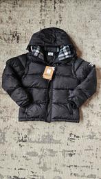 Burberry puffer, Maat 48/50 (M), Zwart, Nieuw, Ophalen of Verzenden