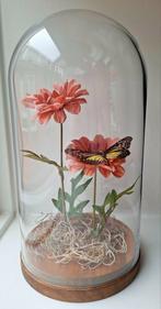 Prachtige vlinder in glazen stolp, Huis en Inrichting, Ophalen, Nieuw