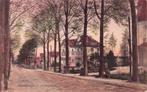 Harderwijk - Oranjelaan met fraaie woningen (gel. 1920), Ophalen of Verzenden, Voor 1920, Gelopen, Gelderland