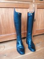 Petrie paardrij laarzen, Ophalen of Verzenden, Zo goed als nieuw, Dressuur, Schoeisel