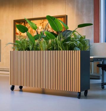 Plantenbak met akoestische panelen voor in huis of kantoor beschikbaar voor biedingen