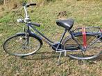 BATAVUS WINNER dames fiets, Ophalen, 53 tot 56 cm, Versnellingen, Batavus
