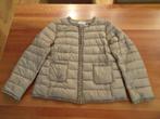 AMY VERMONT beige gewatteerd jack, Kleding | Dames, Beige, Nieuw, Ophalen of Verzenden, Maat 42/44 (L)