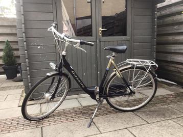 Gazelle Orange beschikbaar voor biedingen
