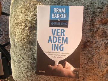 Bram Bakker & Koen de Jong - Verademing beschikbaar voor biedingen
