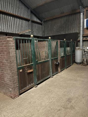 stalling en weidegang omgeving Ermelo naast het bos en heide beschikbaar voor biedingen