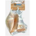 sf deco schelp spider 150 gram €4,85, Ophalen of Verzenden, Nieuw, Sierelement